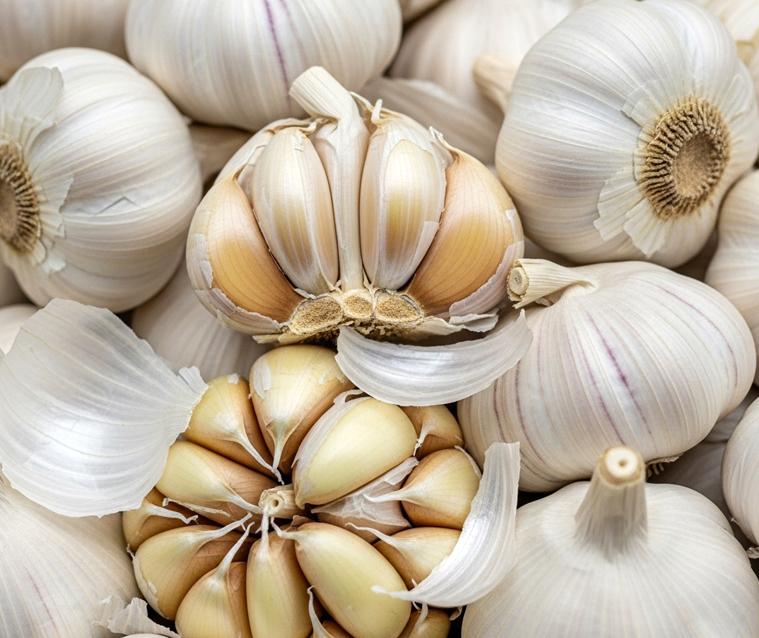 Garlic ( Local )