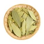 Bay Leaf